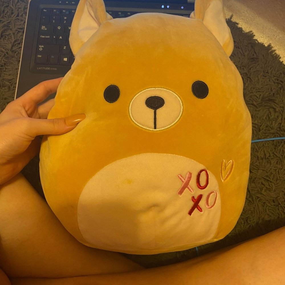 stuffed animal